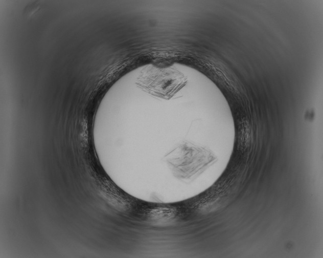 X0000096980700200803071029