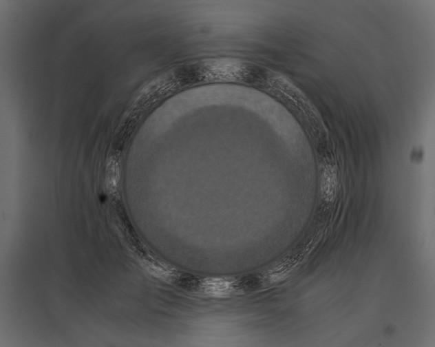 X0000096980701200803071029