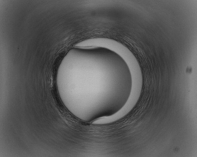 X0000096980703200803071029