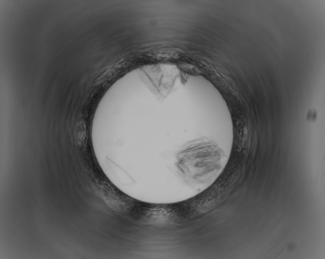 X0000096980704200803071029