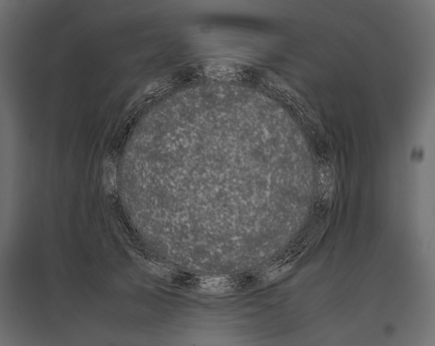 X0000096980705200803071029