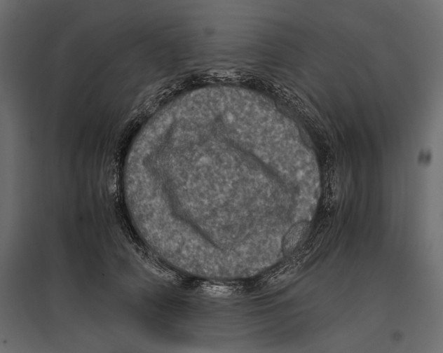 X0000096980706200803071029