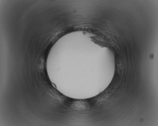 X0000096980708200803071029