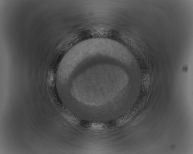 X0000096980709200803071029