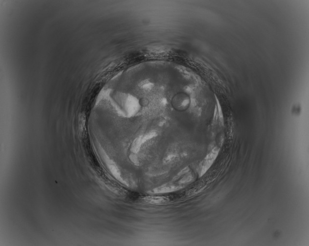 X0000096980711200803071029