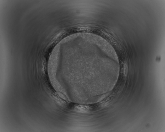 X0000096980712200803071029