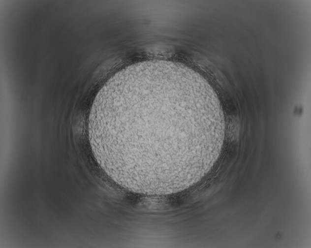 X0000096980713200803071029