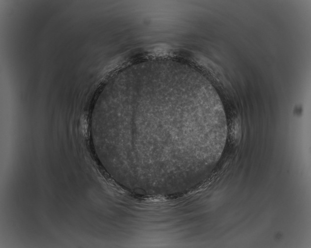 X0000096980715200803071029