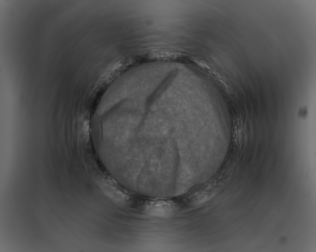 X0000096980716200803071029