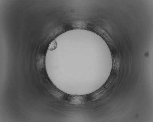 X0000096980717200803071029