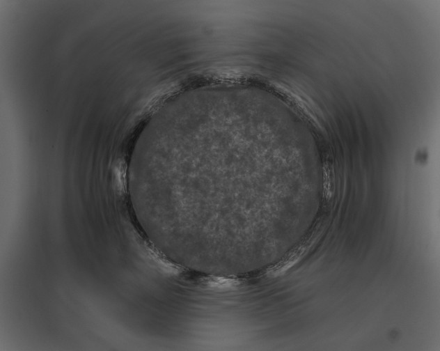 X0000096980718200803071029