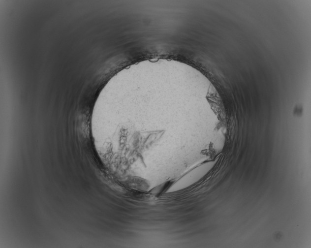 X0000096980719200803071029