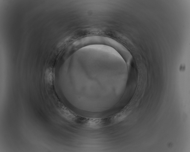 X0000096980720200803071029