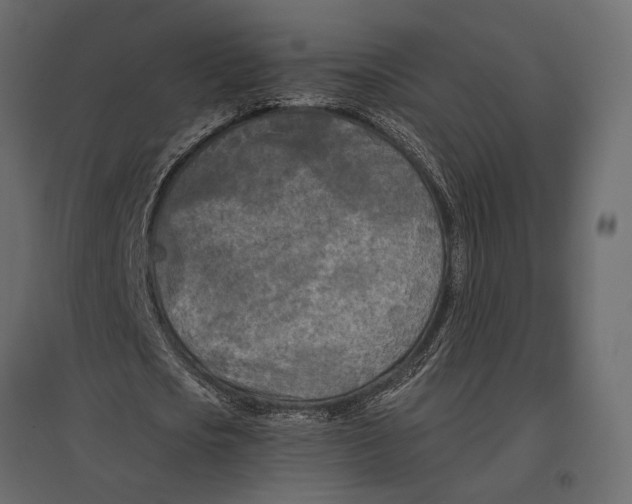 X0000096980721200803071028