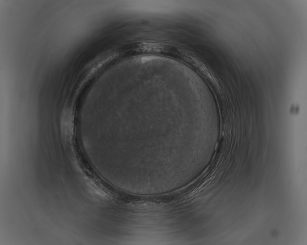 X0000096980722200803071028