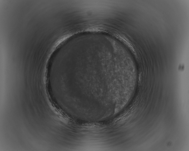 X0000096980724200803071028