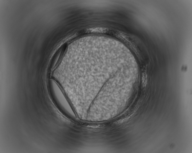 X0000096980725200803071028