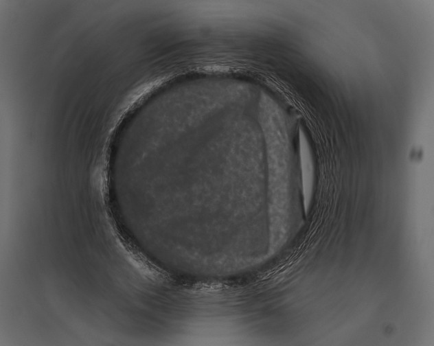 X0000096980728200803071029