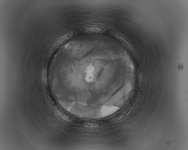 X0000096980729200803071029