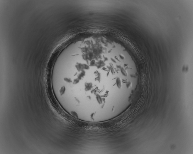X0000096980730200803071029