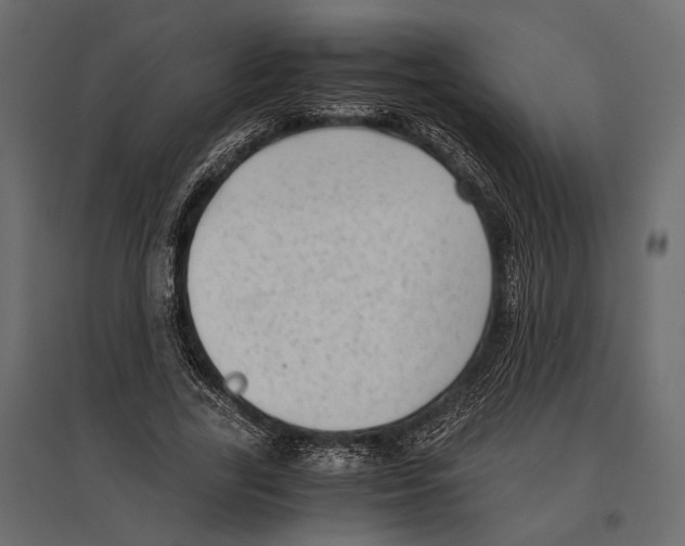 X0000096980731200803071029