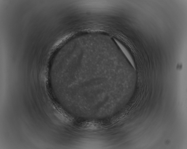 X0000096980732200803071029