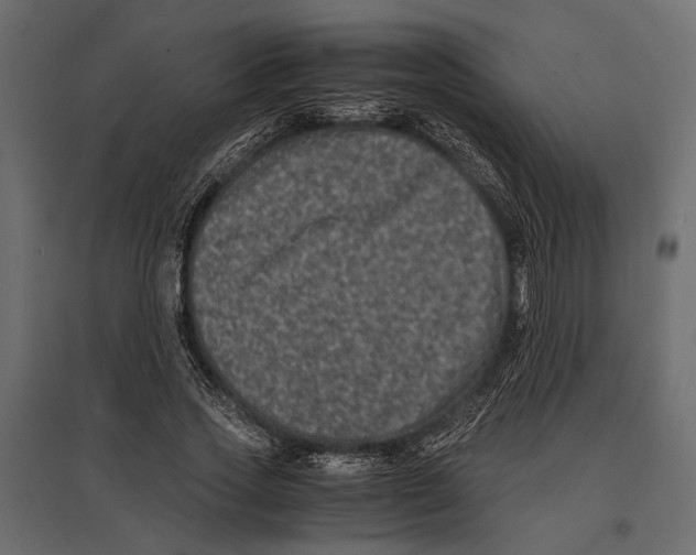 X0000096980733200803071029