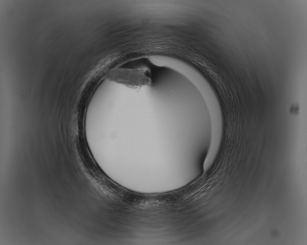 X0000096980734200803071029