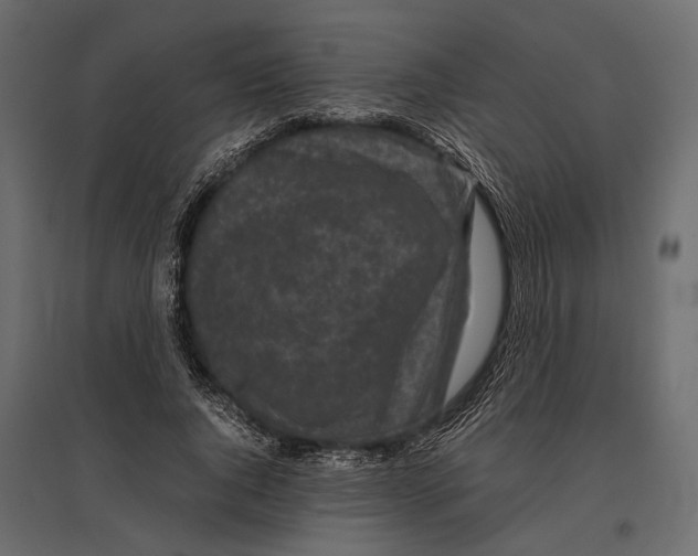 X0000096980736200803071029