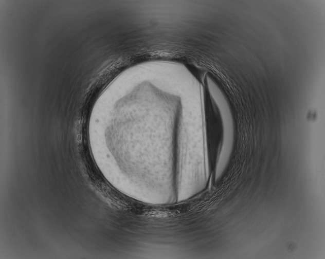 X0000096980738200803071029