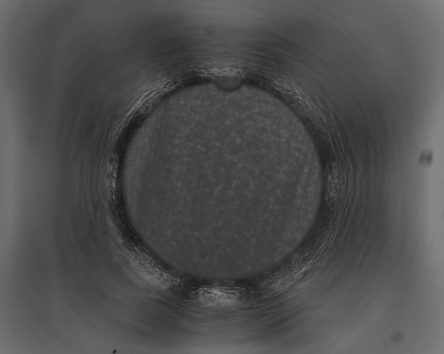 X0000096980739200803071029