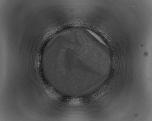 X0000096980740200803071029