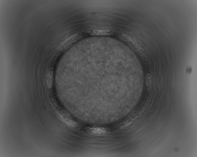 X0000096980741200803071029