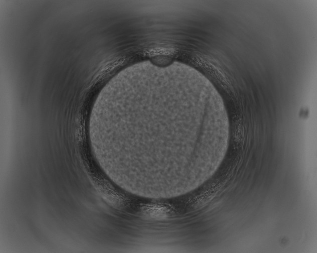 X0000096980743200803071029