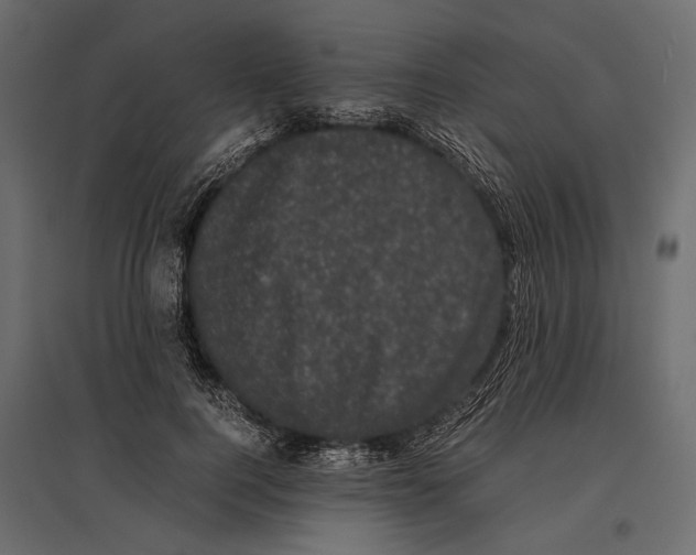 X0000096980744200803071029