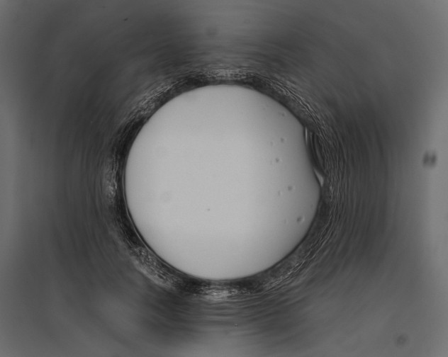 X0000096980746200803071029