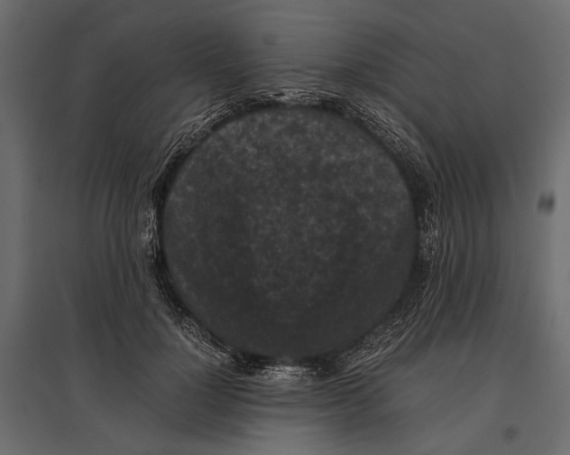 X0000096980748200803071029