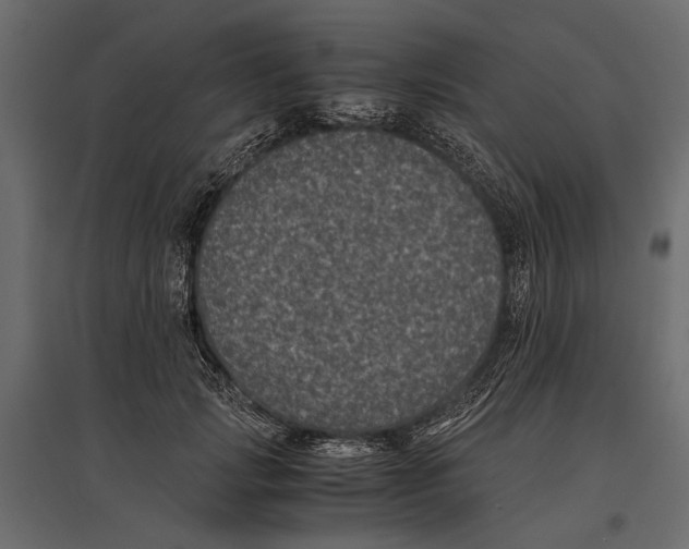 X0000096980749200803071029