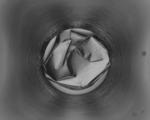 X0000096980750200803071029