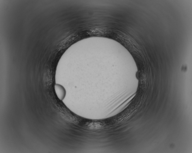 X0000096980751200803071029