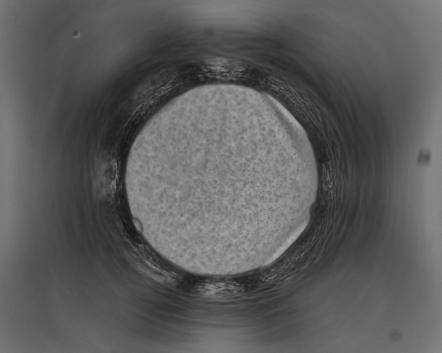 X0000096980752200803071029