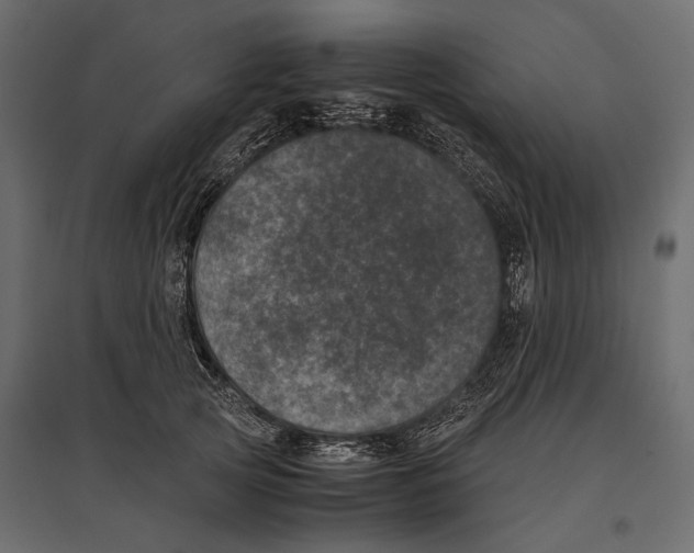 X0000096980753200803071029