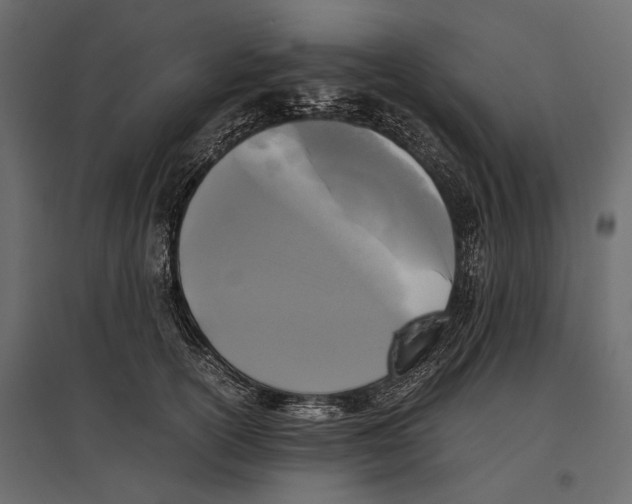 X0000096980754200803071029