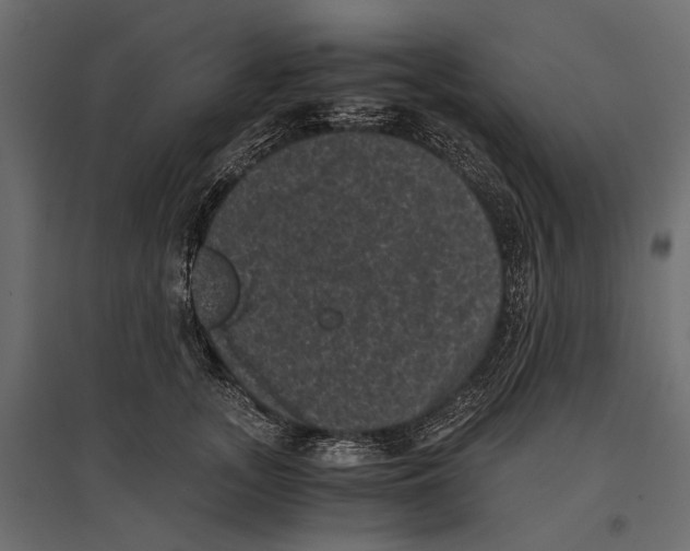 X0000096980755200803071029