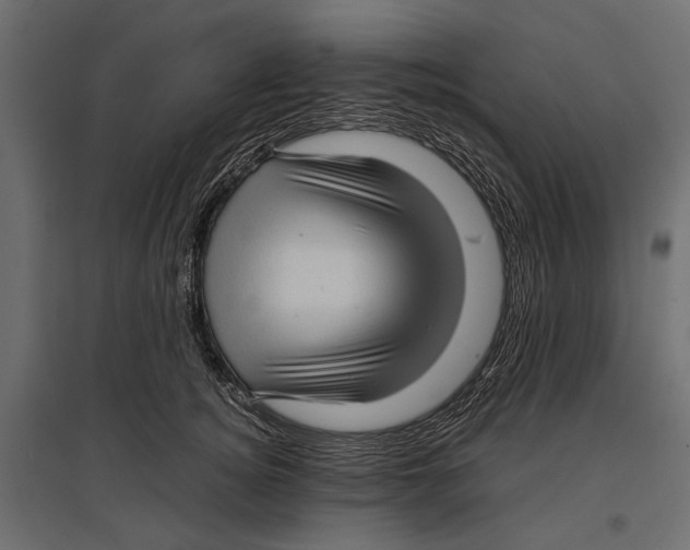 X0000096980756200803071029