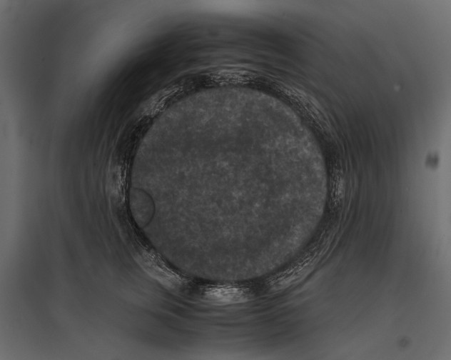 X0000096980759200803071029