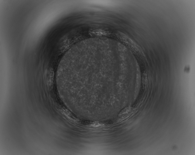 X0000096980760200803071029