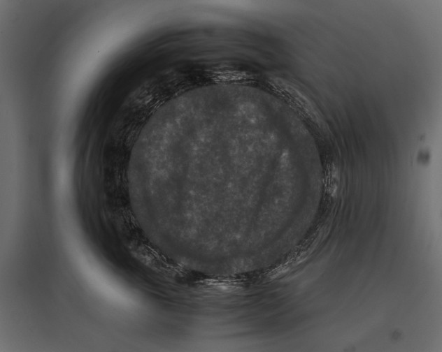 X0000096980763200803071029