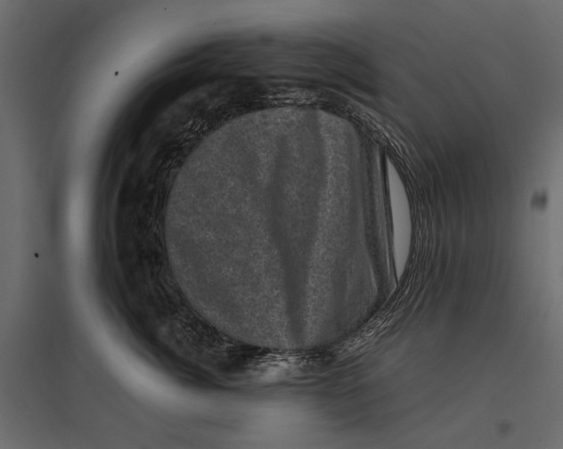 X0000096980764200803071029