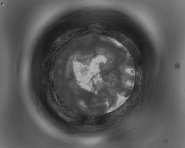 X0000096980765200803071029